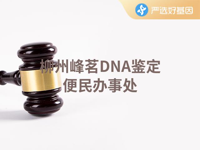 柳州峰茗DNA鉴定便民办事处