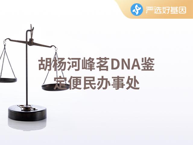 胡杨河峰茗DNA鉴定便民办事处