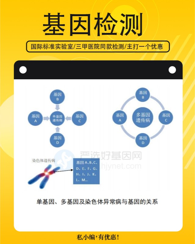 临沧云县基因检测图谱怎么看