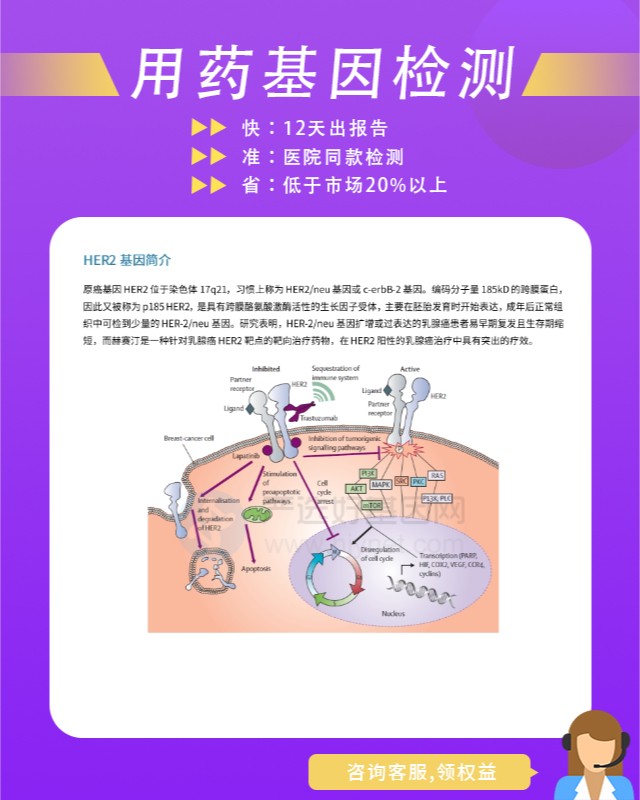 原平市藥物毒性基因檢測服務介紹