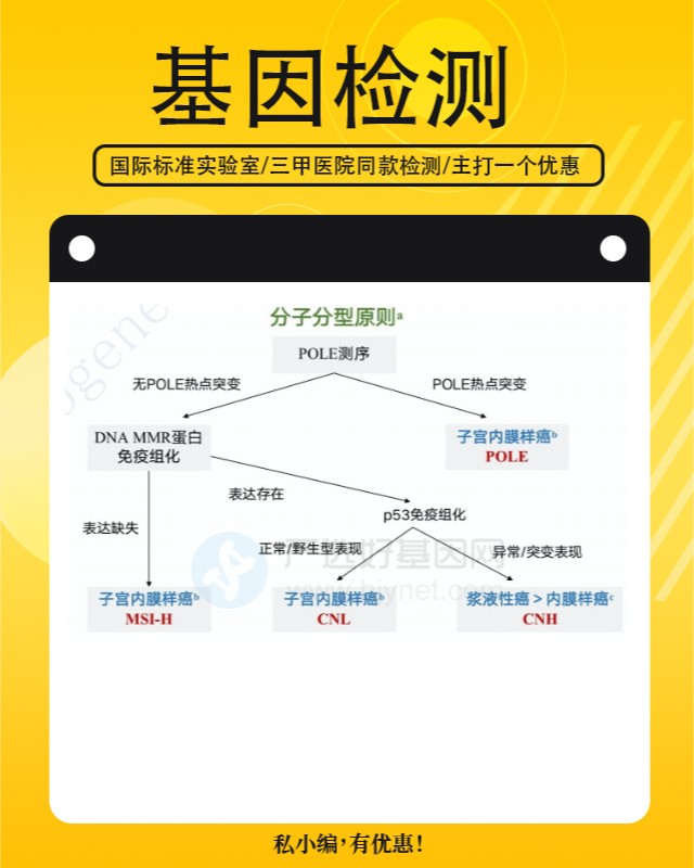 基因解码指导碳酸氢钠个性化用药