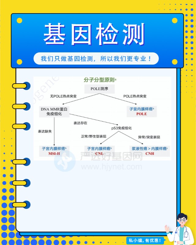 阿莫西林双氯西林钠胶囊个性化用药基因检测