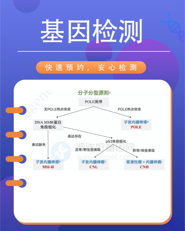 安澤縣精準醫療：藥物劑量基因檢測服務