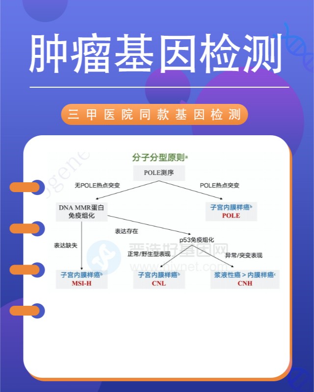 海口口腔菜花狀乳頭瘤病基因檢測在什么醫(yī)院做（3天出結(jié)果辦理）