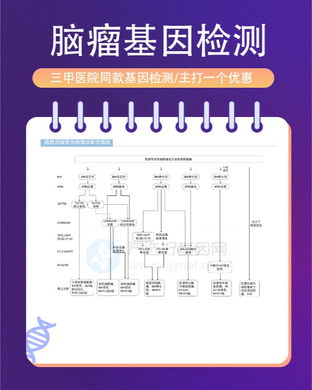 昆明巖骨斜坡腦膜瘤基因檢測一般需要多少錢（附2025年17月最新定價）