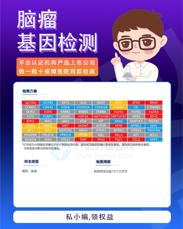 腦膠質瘤基因檢測泡泡基因可以嗎