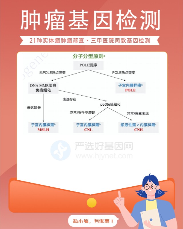 信陽胃腸道間質瘤基因檢測去哪家醫院做（附2025年17月檢測費用）