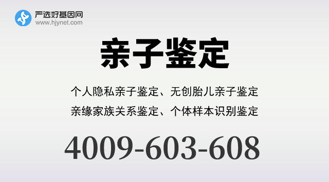 银川市亲子鉴定去哪里做——解锁亲子鉴定的秘密