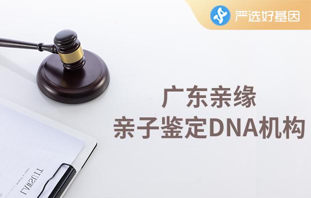 广东亲缘亲子鉴定DNA机构