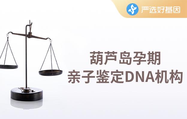 葫芦岛孕期亲子鉴定DNA机构