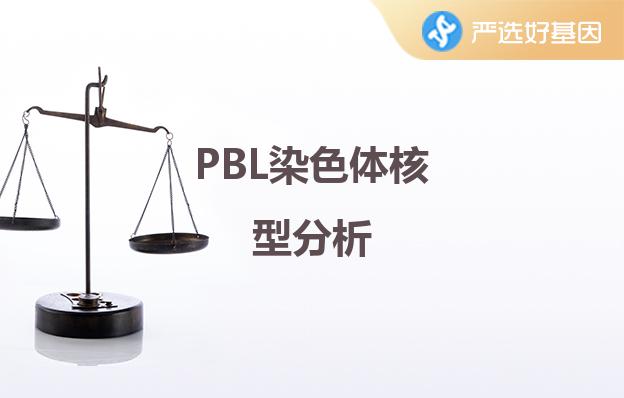 PBL染色体核型分析深圳严选好基因检测中心