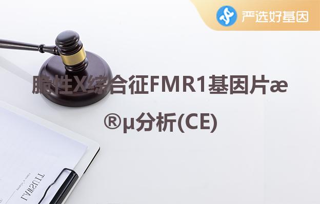 脆性X综合征FMR1基因片段分析(CE