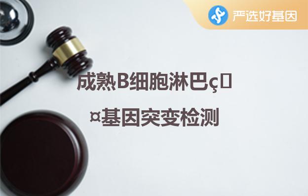 成熟B細胞淋巴瘤基因突變檢測