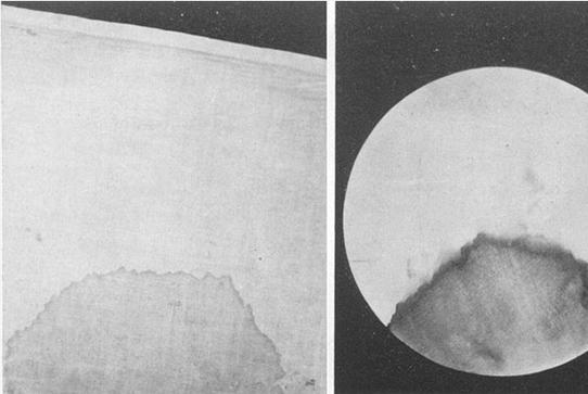 達州有幾家基因公司可以做上戶口親子鑒定