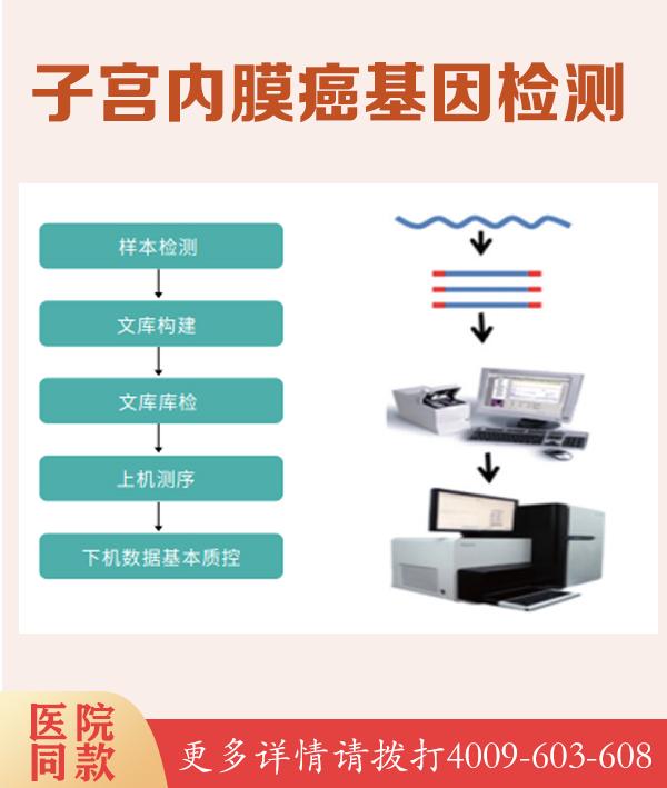 BRAF V600E 检测-血液 ARMS-PCR