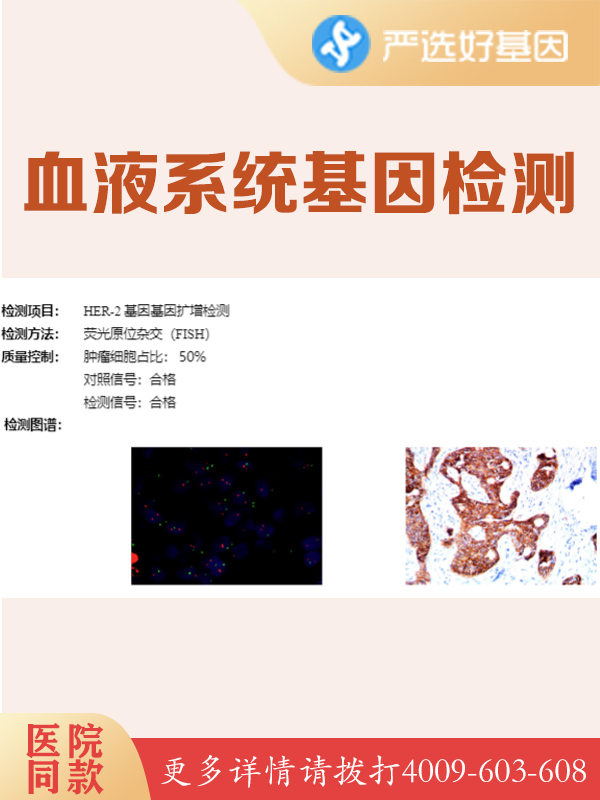 中国人群实体瘤血液550基因分子分型研究 NGS
