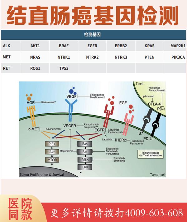 中国人群实体瘤血液550基因分子分型研究 NGS